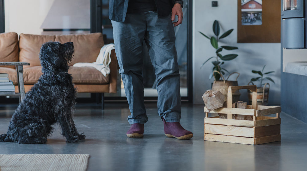 NEW ARRIVALS FOR THE NEW YEAR